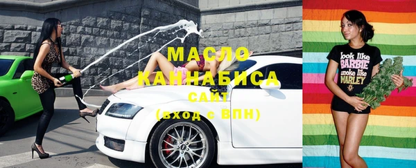 ECSTASY Алзамай