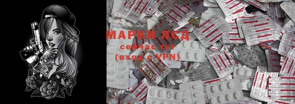 ПСИЛОЦИБИНОВЫЕ ГРИБЫ Алексин