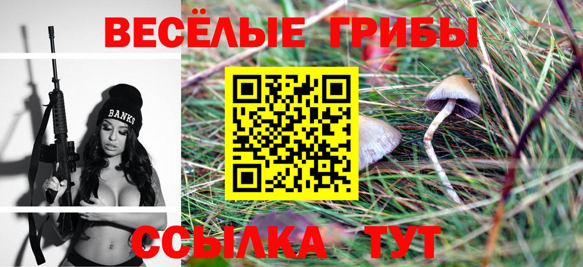 Тайшет  Галлюциногенные грибы ЛСД  Вход с VPN 