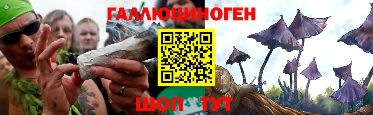 Галлюциногенные грибы прущие грибы Тайшет
