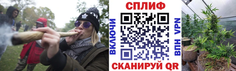 omg сайт Тайшет Каннабис план продажа наркотиков